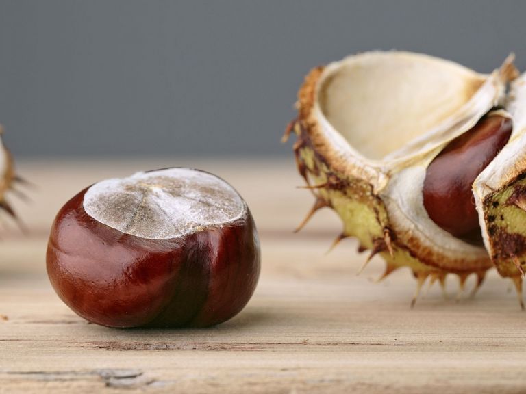 Kastanien auf einem Holztisch