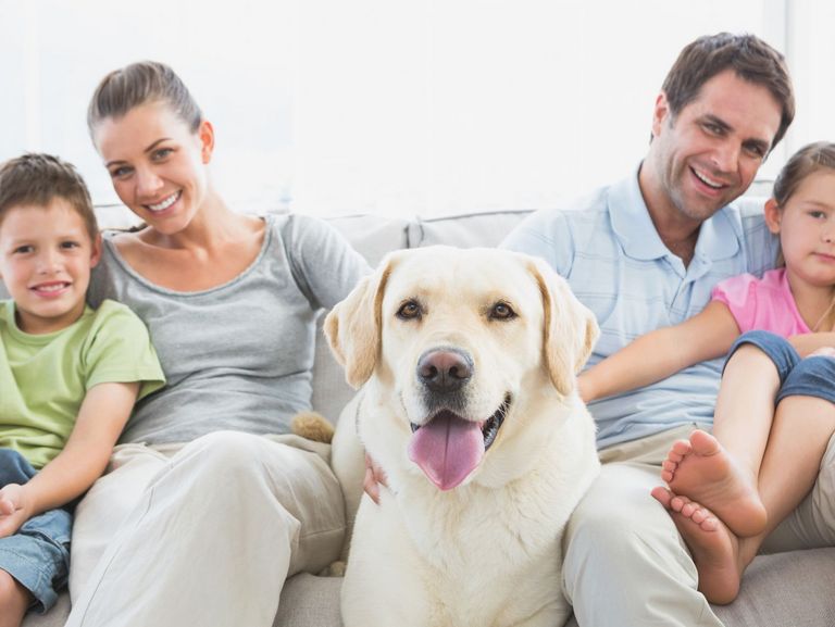 Glückliche Familie mit Hund in der Mitte