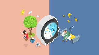 Innere Uhr Grafik mit einer Darstellung des Wechsels von Tag-und-Nacht