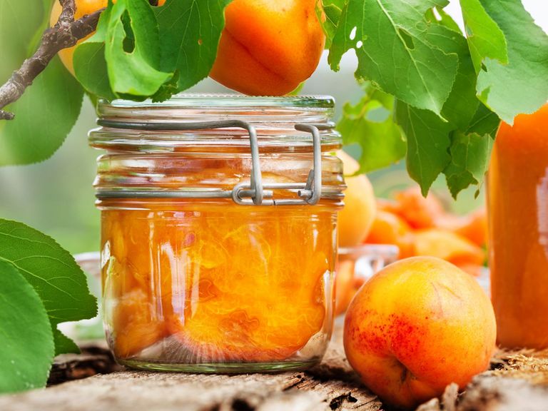 Eingekochte Aprikosen und ein Glas Smoothie