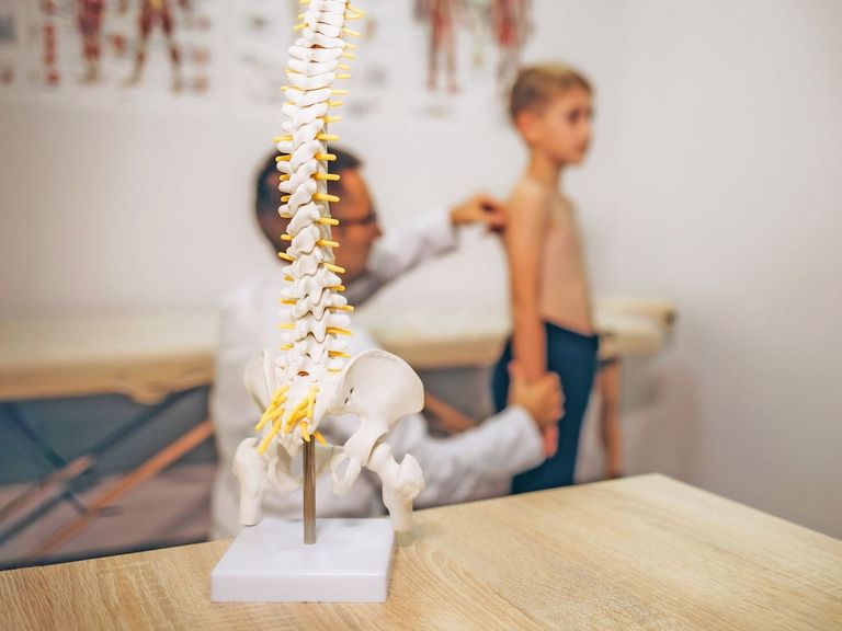 Junge während einer Untersuchung beim Orthopäden und im Bildvordergrund ist ein Wirbelsäulenskelett zusehen