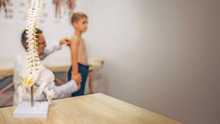 Orthopädische Vorsorge Junge während einer Untersuchung beim Orthopäden und im Bildvordergrund ist ein Wirbelsäulenskelett zusehen