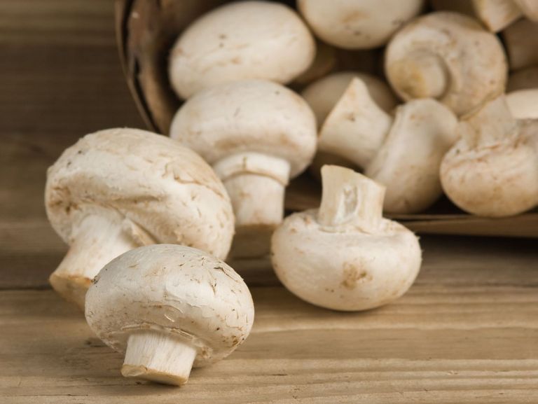 Champignons auf einem Tisch