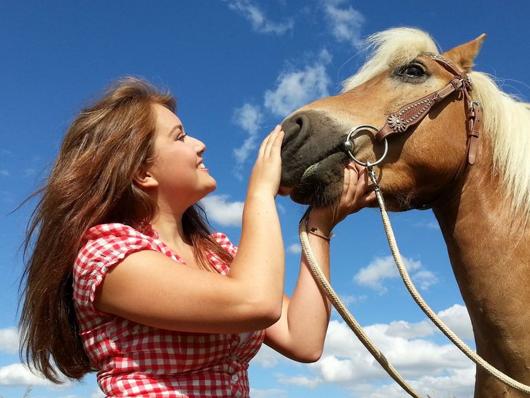 Frau streichelt einem Pferd am Kopf