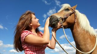 Frau streichelt einem Pferd am Kopf