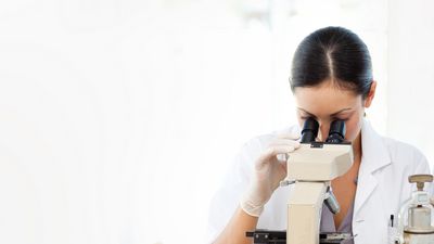 Labormitarbeiterin schaut in ein Mikroskop