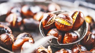 Esskastanien Zubereitete Esskastanien auf einer Suppenkelle