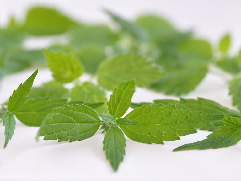 Brennnesselblätter auf einem Tisch