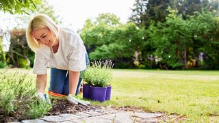 Gesunde Gartenarbeit Frau kniet vor einem Beet auf dem rasen und verrichtet mit Freude Gartenarbeit