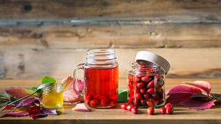 Hagebuttentee und frische Hagebutten in einem Glas stehen auf einem Holztisch