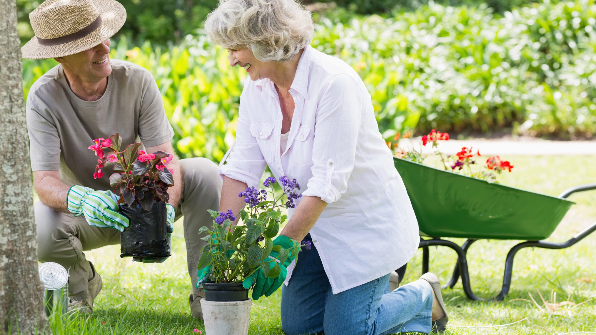 Paar arbeiten zusammen im Garten